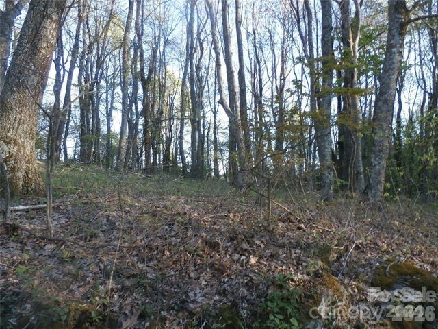 288 Firetower Road, Spruce Pine, NC 28777