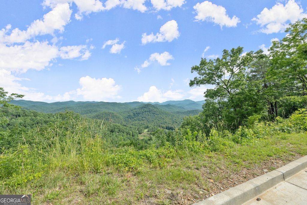 LOT 12A Winterberry Trail, Clayton, GA 30525 — photo 4