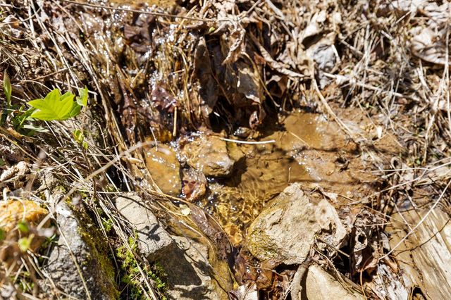 65 Caldwell Mountain Road, Suches, GA 30572