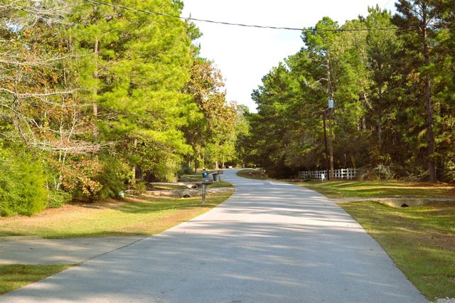 24854 Shady Oaks Boulevard, Montgomery, TX 77316