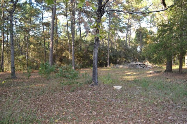 24854 Shady Oaks Boulevard, Montgomery, TX 77316