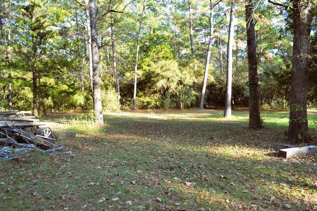 24854 Shady Oaks Boulevard, Montgomery, TX 77316