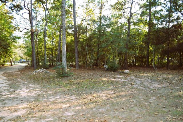 24854 Shady Oaks Boulevard, Montgomery, TX 77316