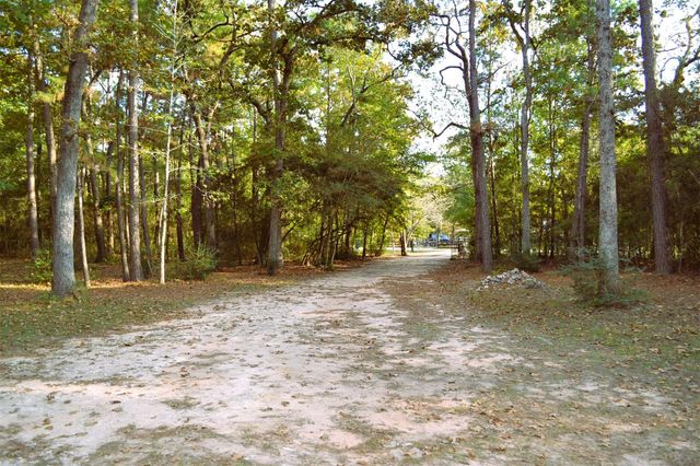 24854 Shady Oaks Boulevard, Montgomery, TX 77316