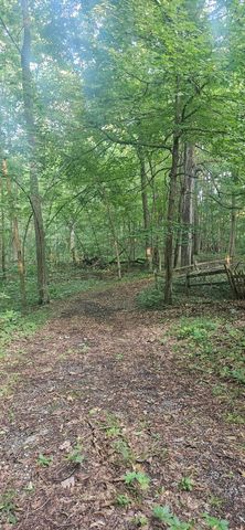 11720 Wamplers Lake Road, Brooklyn, MI 49230