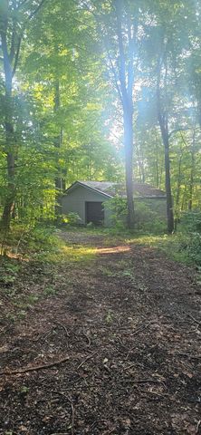 11720 Wamplers Lake Road, Brooklyn, MI 49230