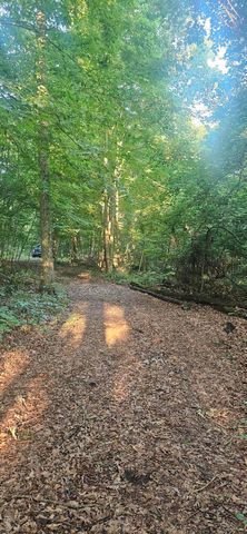 11720 Wamplers Lake Road, Brooklyn, MI 49230