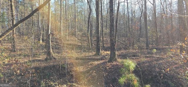 0 Malcom Road, Covington, GA 30014