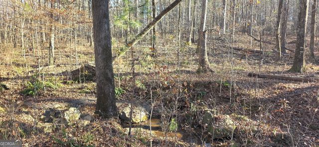 0 Malcom Road, Covington, GA 30014