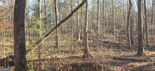 0 Malcom Road, Covington, GA 30014