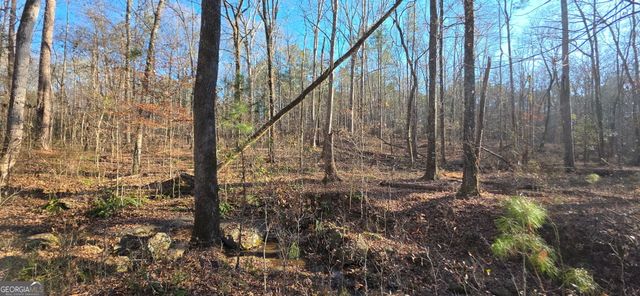 0 Malcom Road, Covington, GA 30014