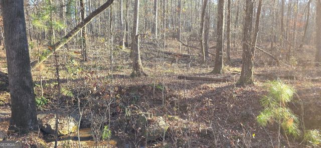 0 Malcom Road, Covington, GA 30014