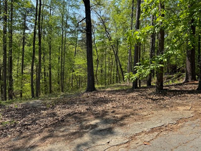 56 Cottonwood Court, Toccoa, GA 30577