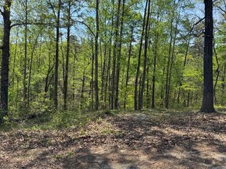 56 Cottonwood Court, Toccoa, GA 30577
