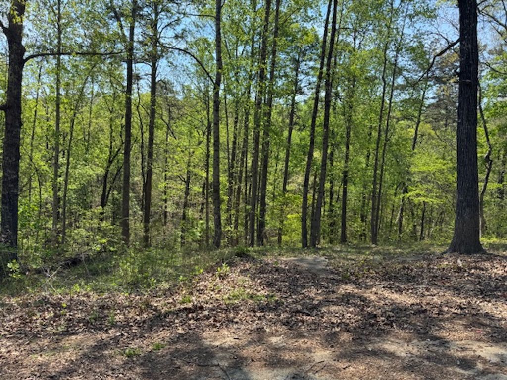 56 Cottonwood Court, Toccoa, GA 30577