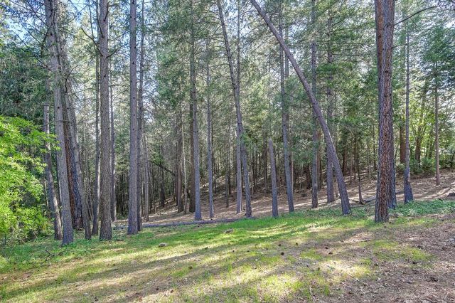 26270 Green Acres Rd, Colfax, CA 95713