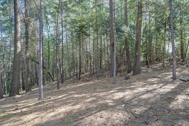 26270 Green Acres Rd, Colfax, CA 95713