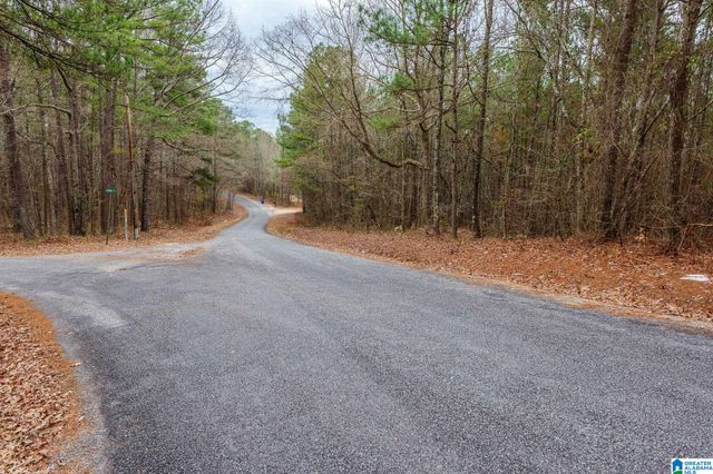 0 FRANKIES ROAD, Vincent, AL 35178