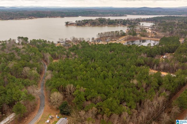 0 FRANKIES ROAD, Vincent, AL 35178