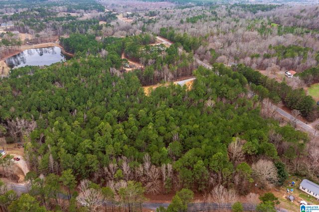 0 FRANKIES ROAD, Vincent, AL 35178