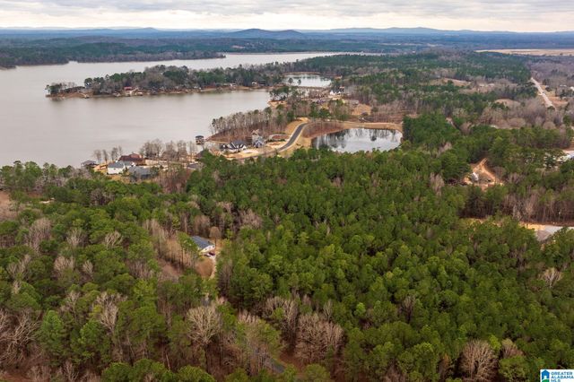 0 FRANKIES ROAD, Vincent, AL 35178