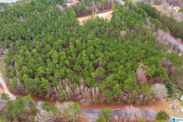 0 FRANKIES ROAD, Vincent, AL 35178