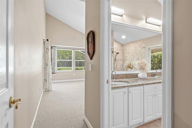 18912 PLACE MARQUETTE, Lutz, FL 33558