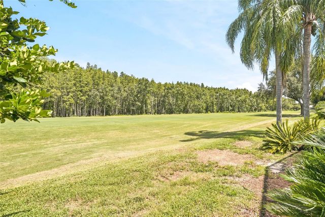 18912 PLACE MARQUETTE, Lutz, FL 33558