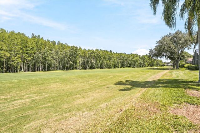 18912 PLACE MARQUETTE, Lutz, FL 33558