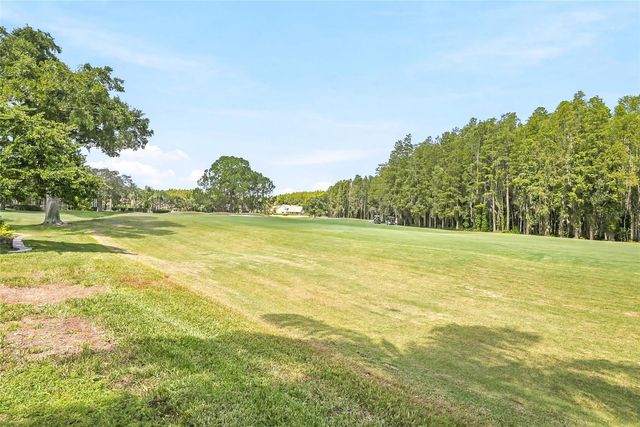 18912 PLACE MARQUETTE, Lutz, FL 33558