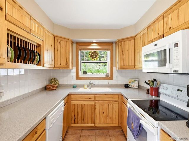 32627 Lila Dr, Conifer, CO 80433