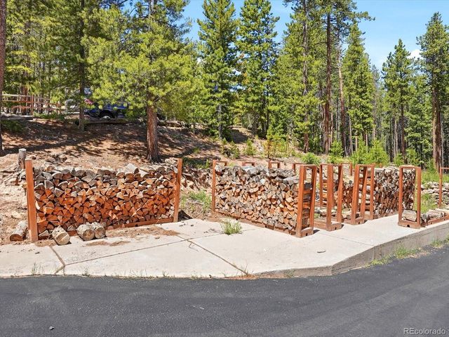 32627 Lila Dr, Conifer, CO 80433