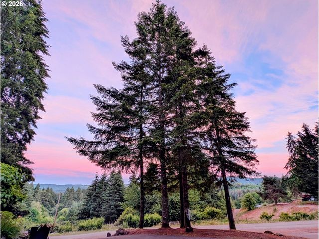 339 NEVALA Rd, Woodland, WA 98674