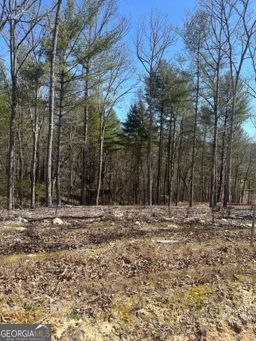 LOT 188 The Ridges, Morganton, GA 30560