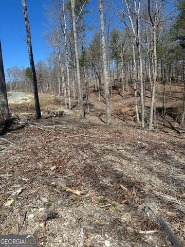 LOT 188 The Ridges, Morganton, GA 30560