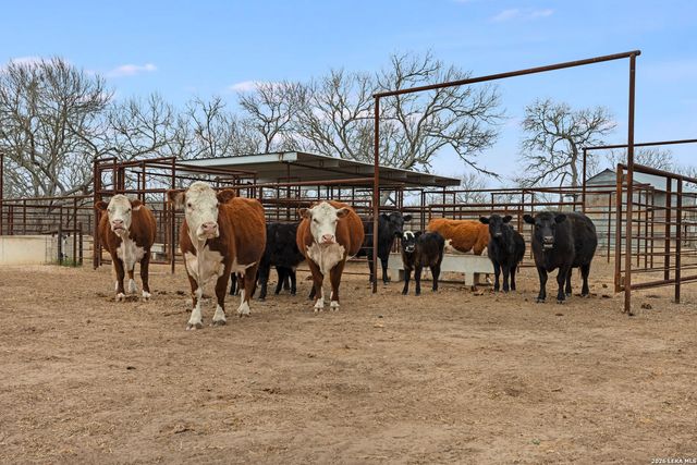 228 County Road 454, Stockdale, TX 78160