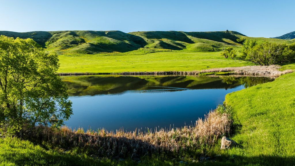 42 Shepards Road, Big Horn, WY 82833 photo 12