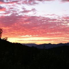 300 Shanks Creek Road, Wolf Creek, OR 97497