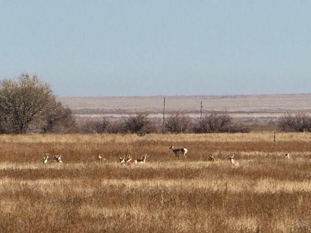 4475 17th Lane, Ordway, CO 81063