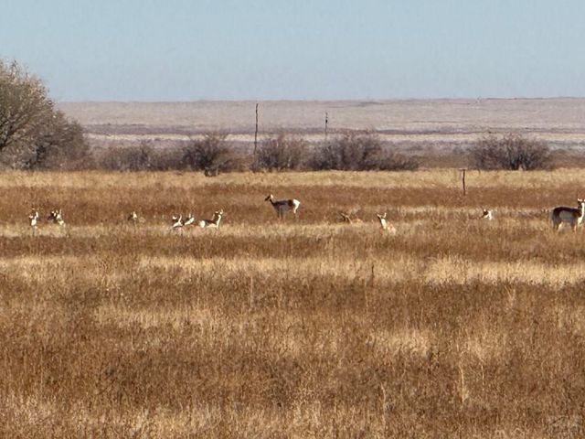 4475 17th Lane, Ordway, CO 81063