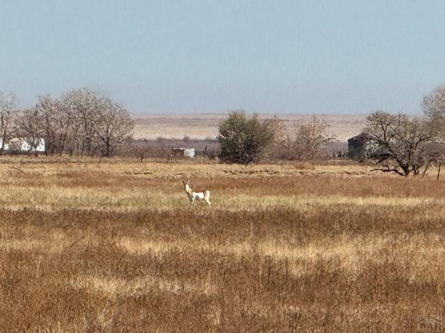 4475 17th Lane, Ordway, CO 81063