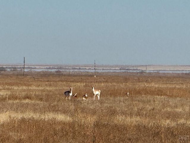 4475 17th Lane, Ordway, CO 81063