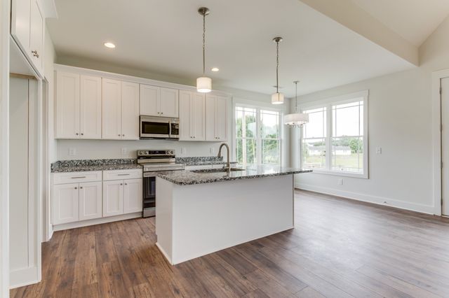 16 Radelle Ln, Mcminnville, TN 37110