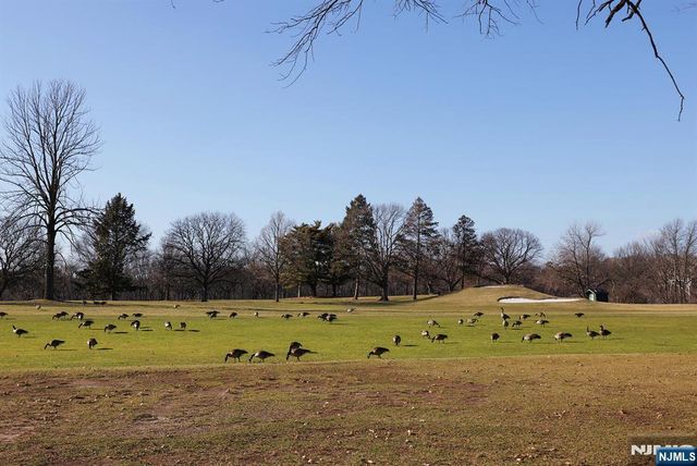 152 Dayton Street 150, Newark, NJ 07114