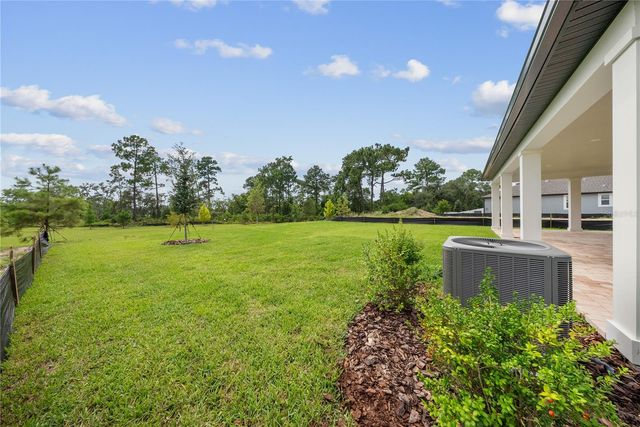 12890 EUREKA LEMON DRIVE, Winter Garden, FL 34787