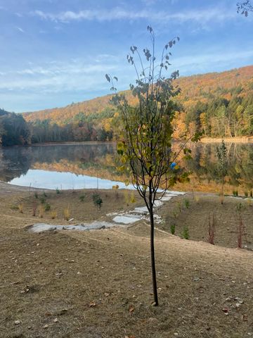 69 Church Street, Wallingford, VT 05773