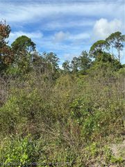 603 Daytona Avenue, Lake Placid, FL 33852