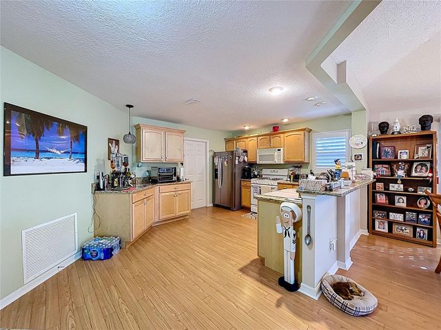 388 BRADLEY TERRACE, The Villages, FL 32162