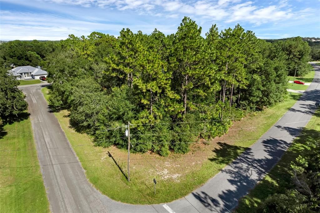 6745 N NANTUCKET WAY, Dunnellon, FL 34434