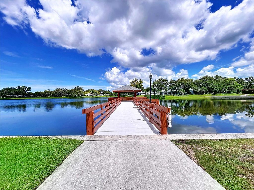 Image 21 of property listing at 8101 CASUARINA DRIVE, Port Richey, FL 34668